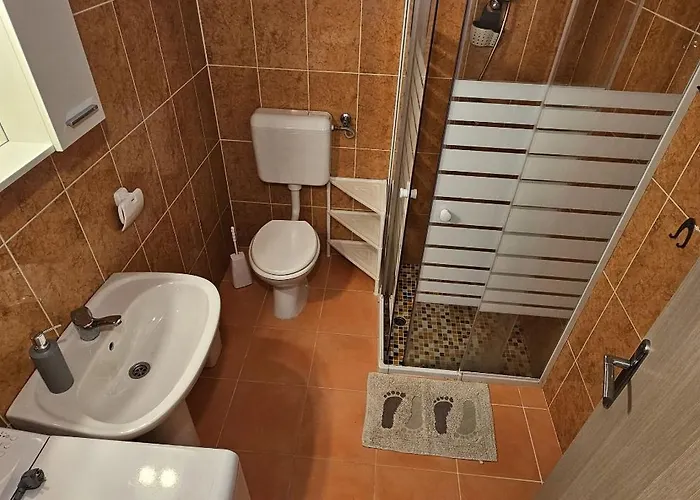 Apartament Pana *